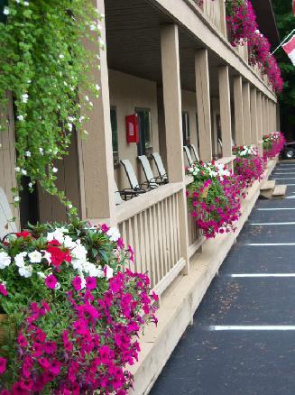 Tall Pines Motel Lake George Buitenkant foto